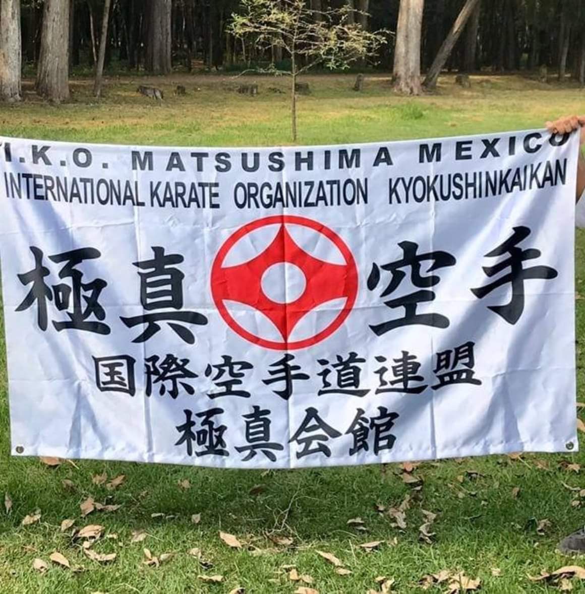 Entrenamiento de Karate Kyokushin en los Viveros de Coyoacán