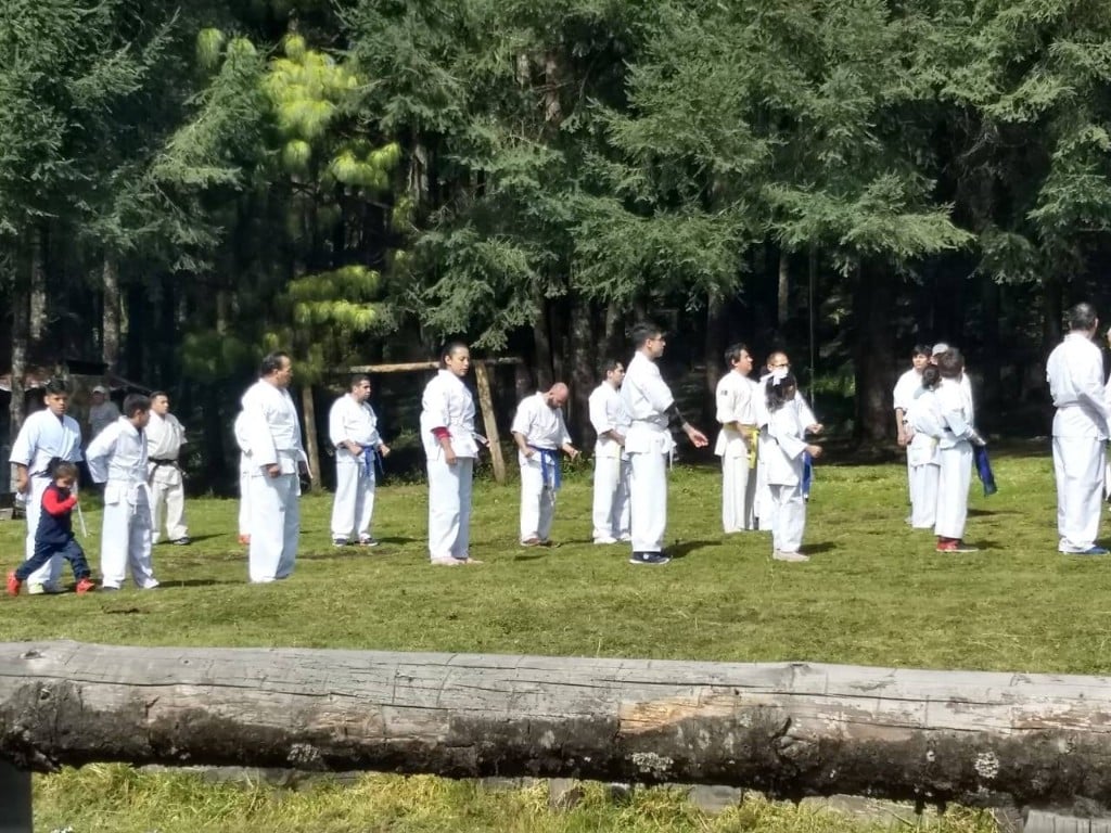 Line of instructors and students in a forest clearing