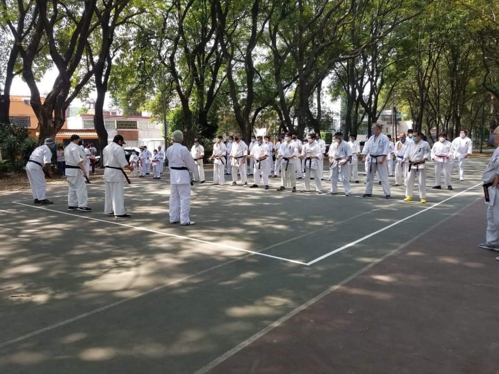 Círculo de práctica en la cancha bajo los árboles