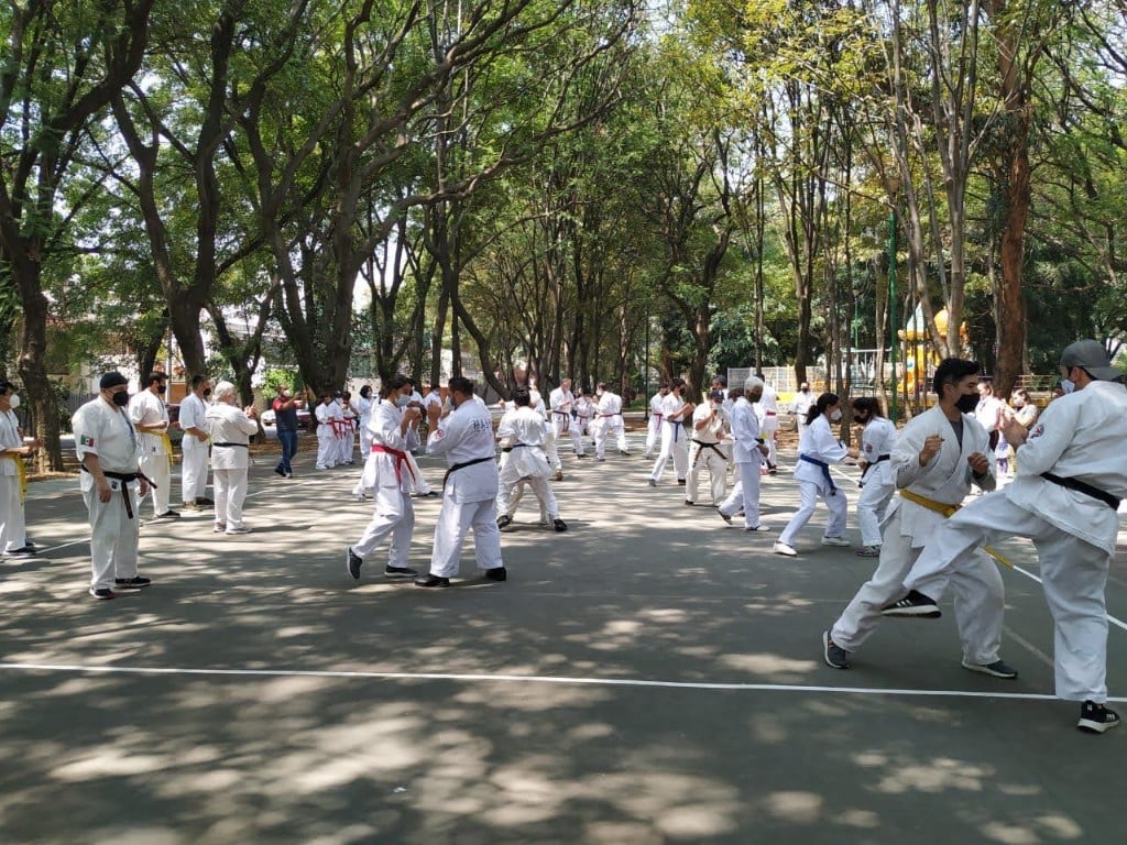 Desplazamientos y técnica en la cancha del parque