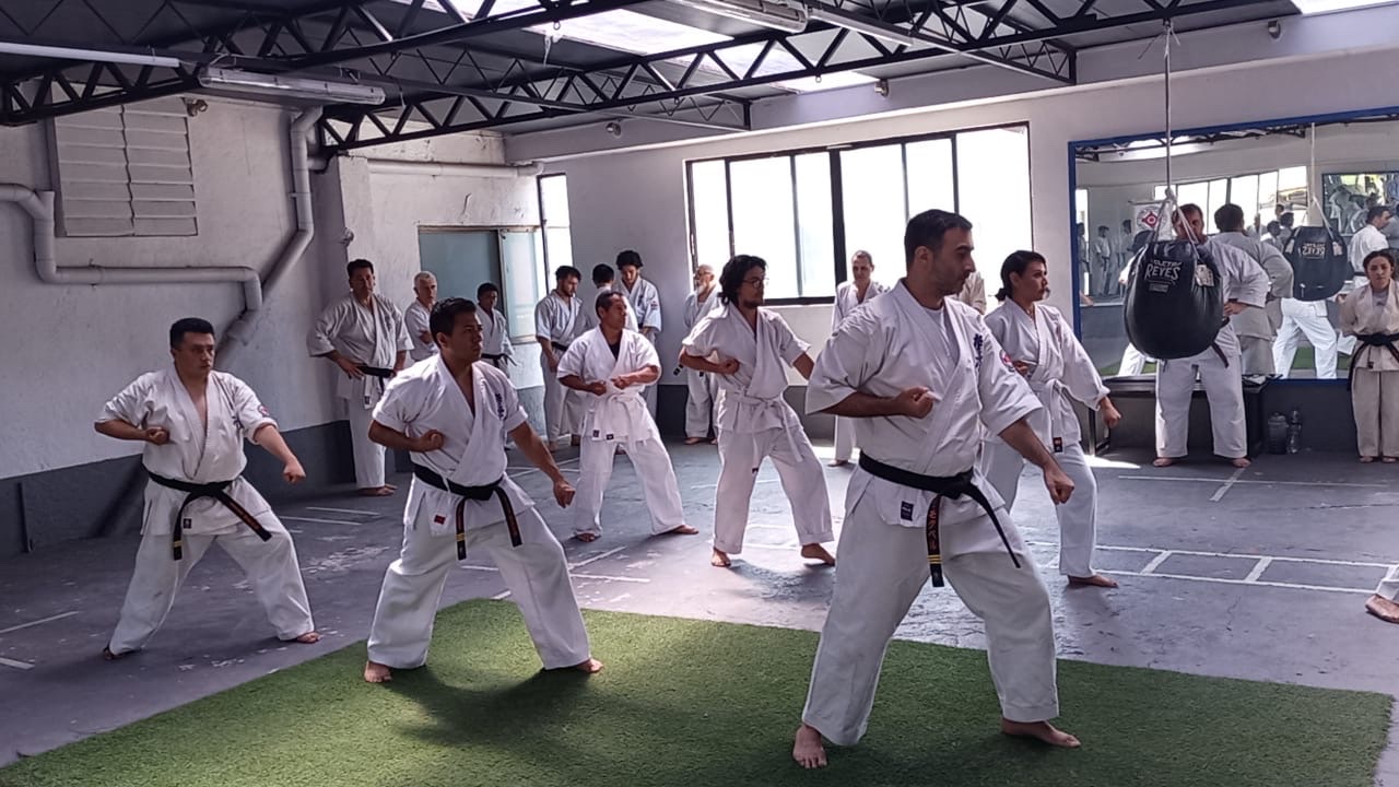 Fila de karatekas en posición baja trabajando kihon