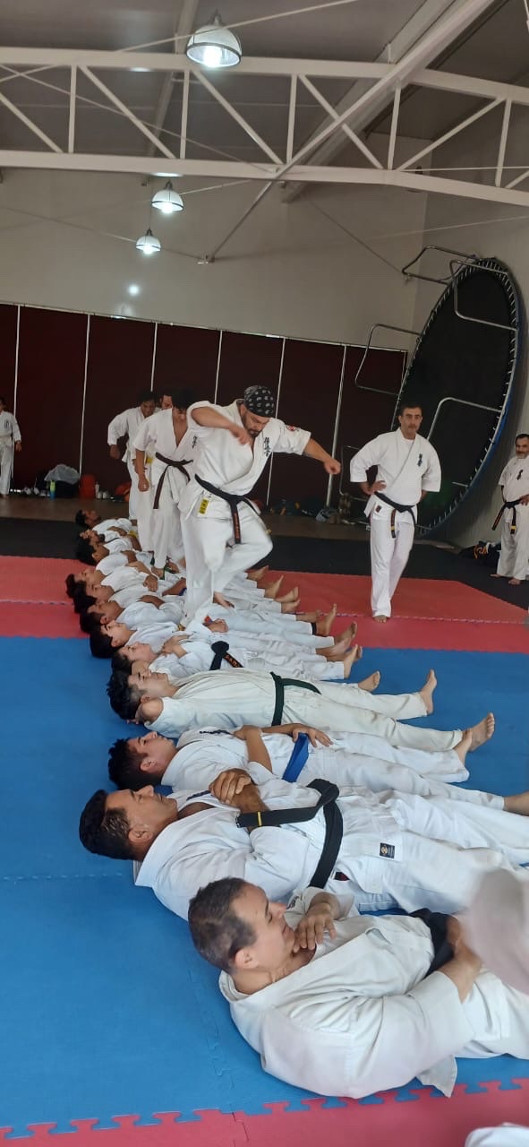 Salto sobre la línea de practicantes durante el seminario