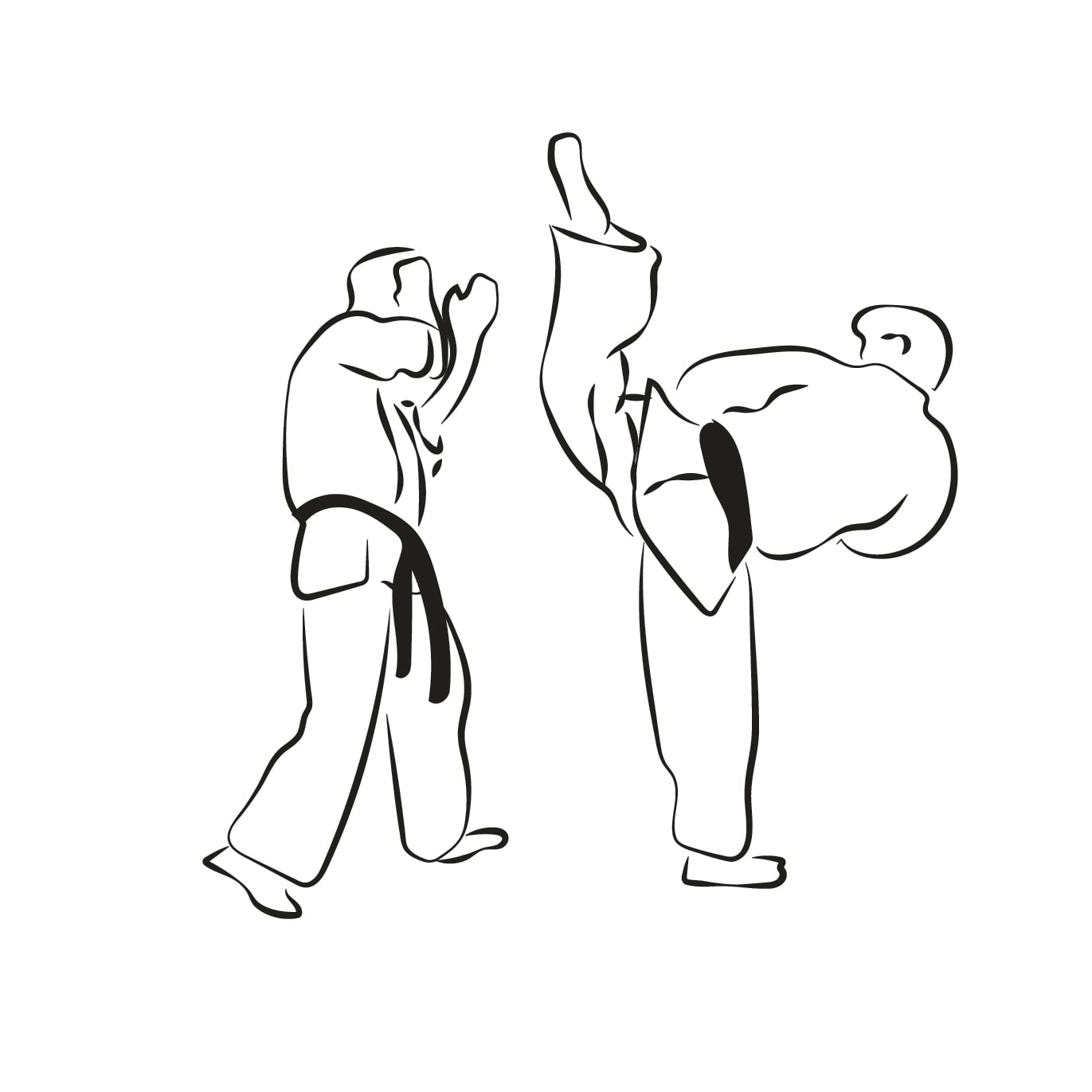 Mawashi Otoshi Geri