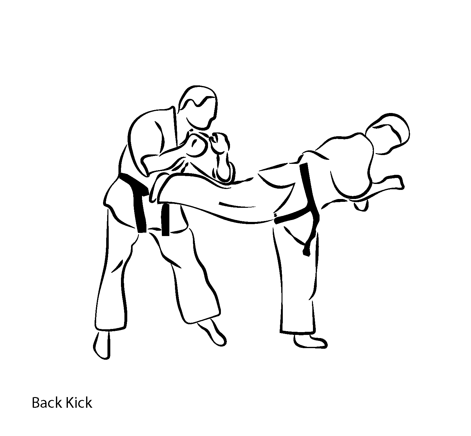 Ushiro Geri