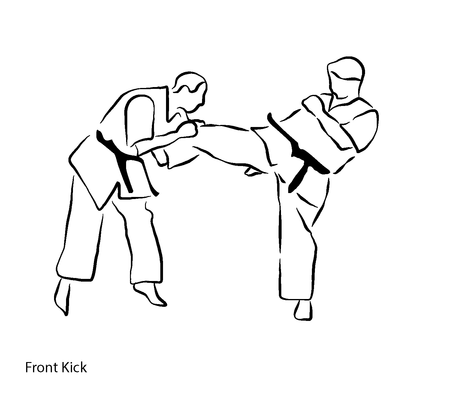 Chudan Mae Geri