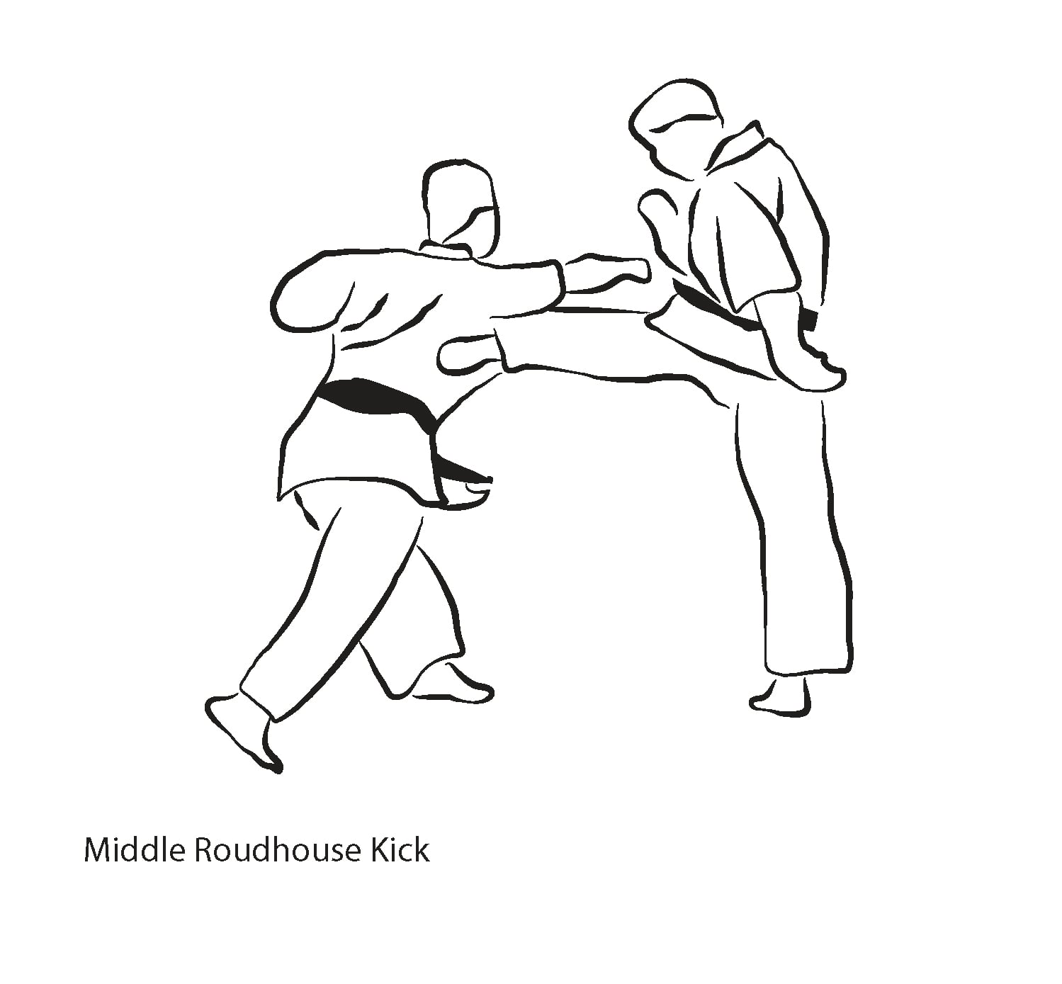 Chudan Mawashi Geri