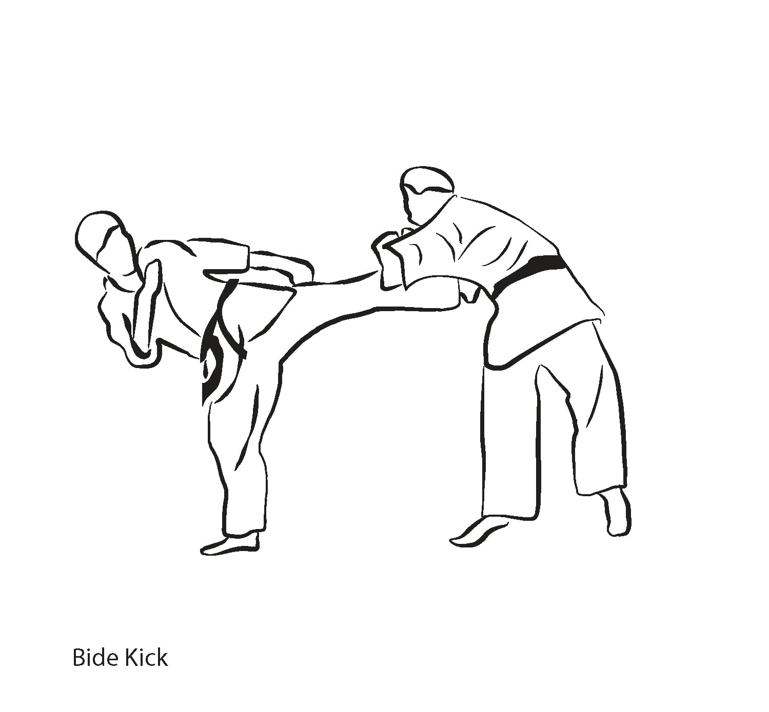 Chudan Yoko Geri