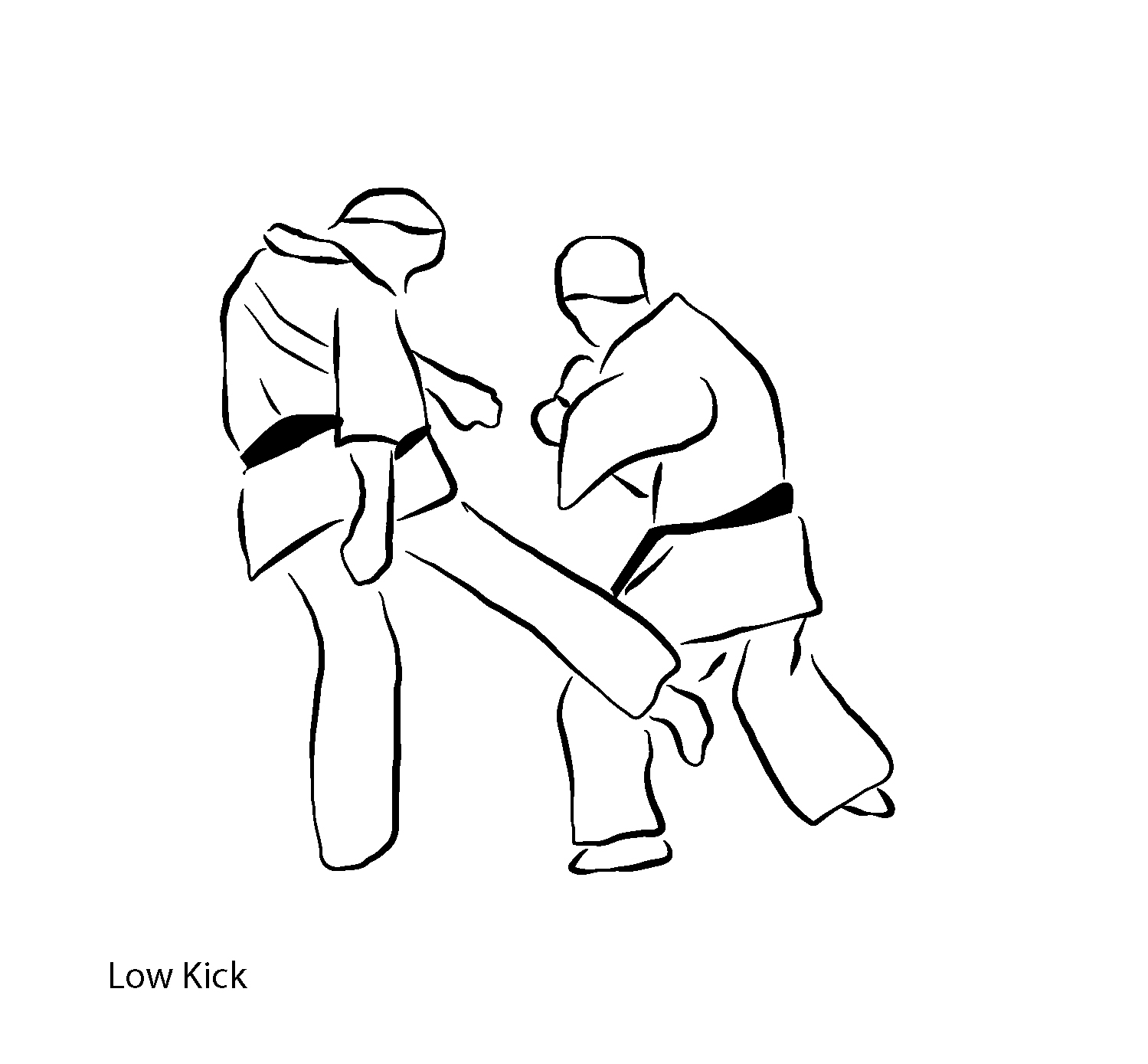 Gedan Mawashi Geri