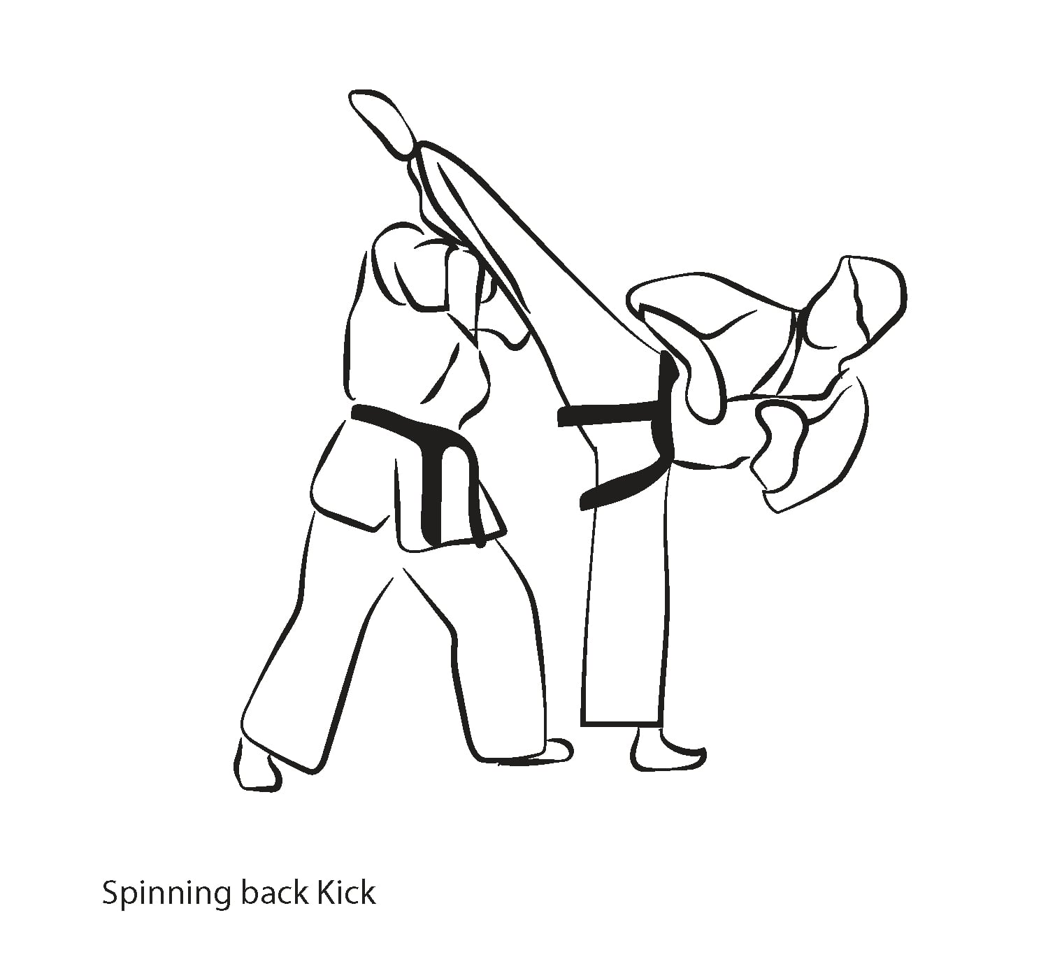 Ushiro Mawashi Geri